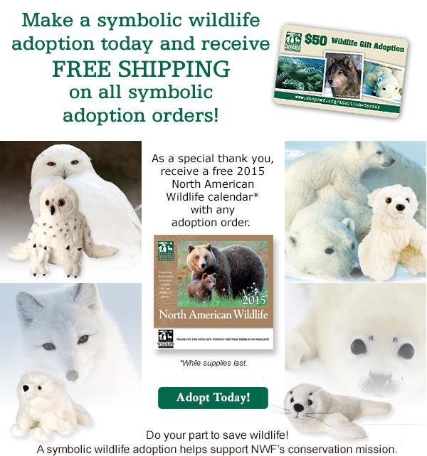 Make a symbolic wildlife adoption today and receive FREE SHIPPING on all symbolic adoption orders!
