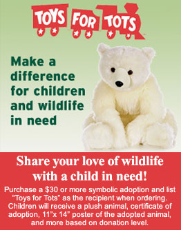 Toys For Tots
